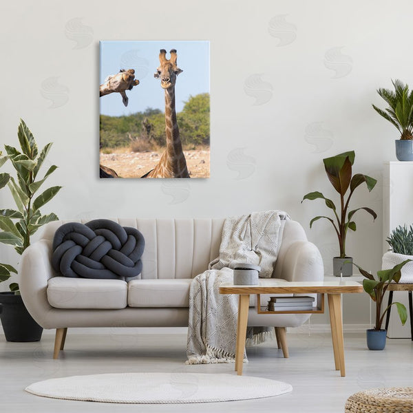 Stupell Industries Brigitte Alcalay Marcon | Funny Photobomb Giraffes Wall Art