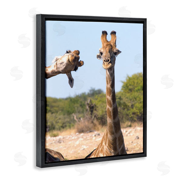 Stupell Industries Brigitte Alcalay Marcon | Funny Photobomb Giraffes Wall Art