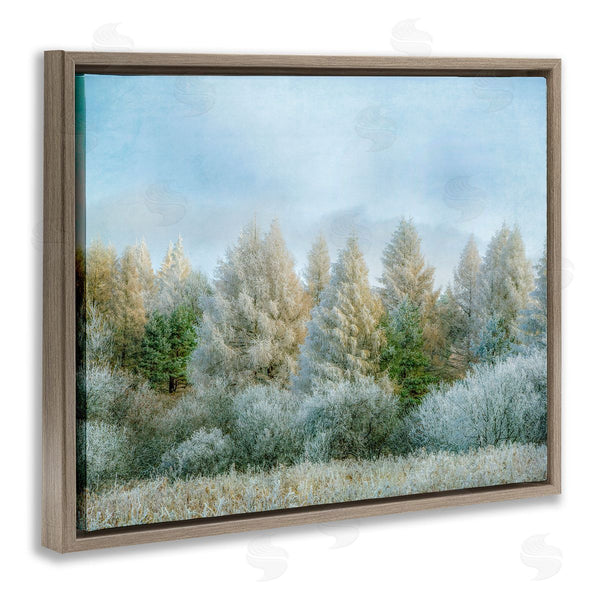 Stupell Industries Brooke T. Ryan | Woodland Grove Forest Trees Wall Art