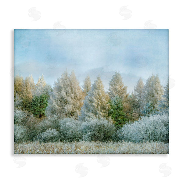 stupell industries Brooke T. Ryan | Woodland Grove Forest Trees Wall Art
