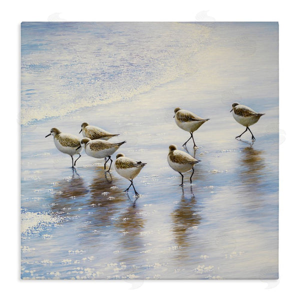 stupell industries Bruce Nawrocke | Sand Dancers on Shore Wall Art