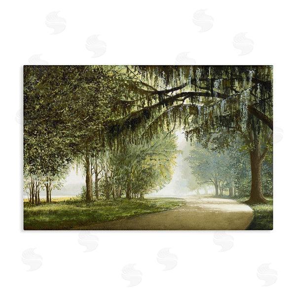 stupell industries BRUCE NAWROCKE | Tree Canopy over Path