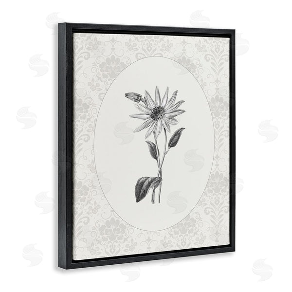 Stupell Industries CAD Designs | Antique Botanical & Lace Wall Art