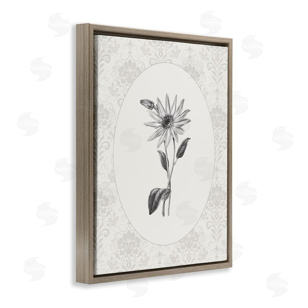 Stupell Industries CAD Designs | Antique Botanical & Lace Wall Art