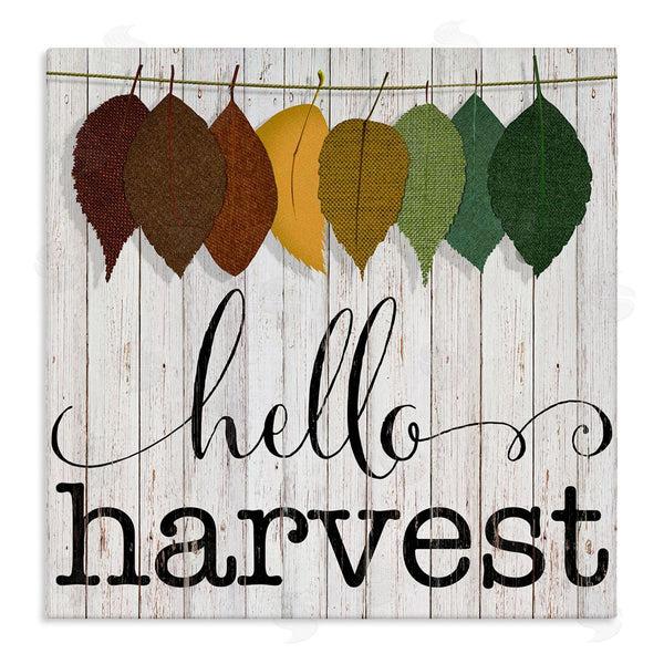stupell industries CAD Designs | Hello Harvest Greeting Autumn Leaves Foliage Illustration Wall Art