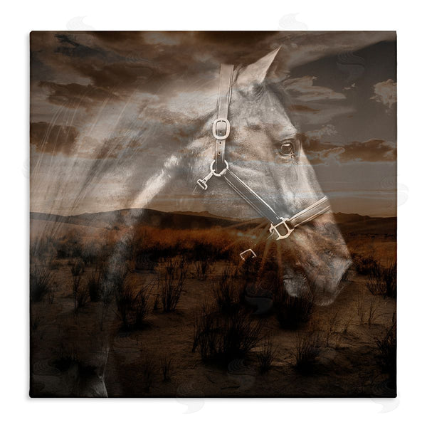 stupell industries CAD Designs | Horse over Nature Visage
