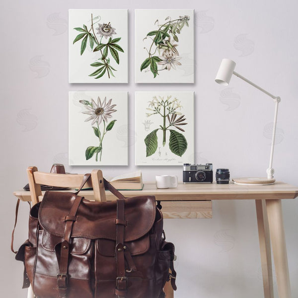 Stupell Industries CAD Designs | Various Vintage Botanicals Wall Art