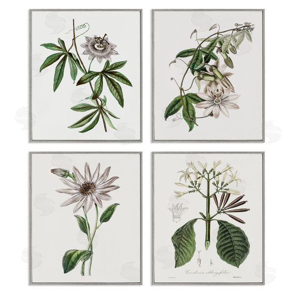 Stupell Industries CAD Designs | Various Vintage Botanicals Wall Art