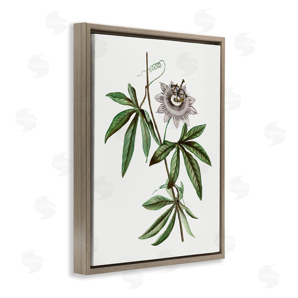 Stupell Industries CAD Designs | Vintage Circular Bloom