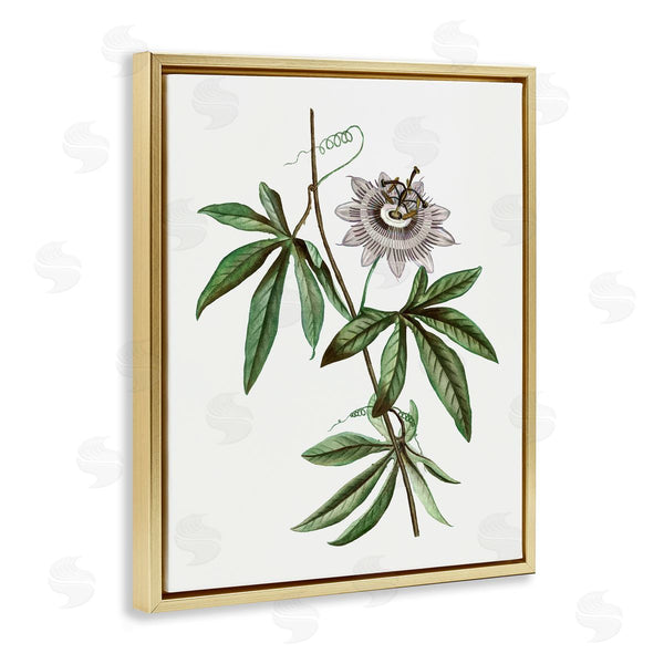 Stupell Industries CAD Designs | Vintage Circular Bloom