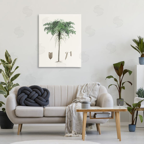 Stupell Industries CAD Designs | Vintage Palm Tree Study
