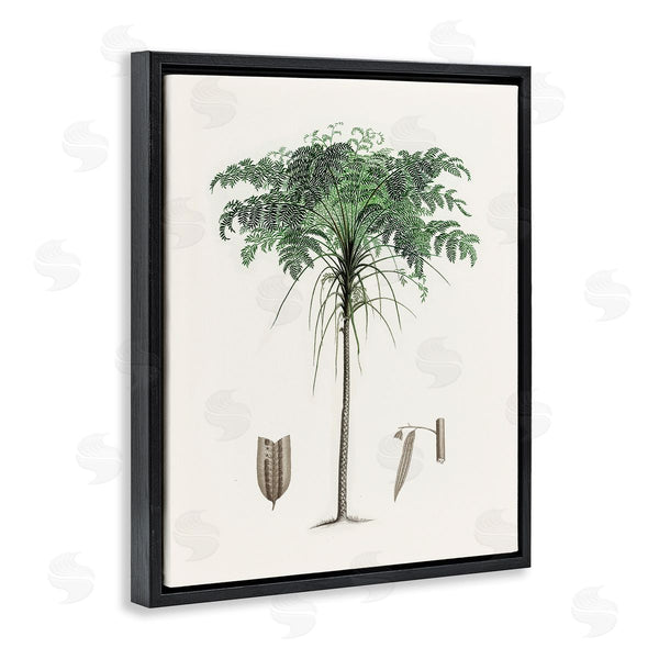 Stupell Industries CAD Designs | Vintage Palm Tree Study