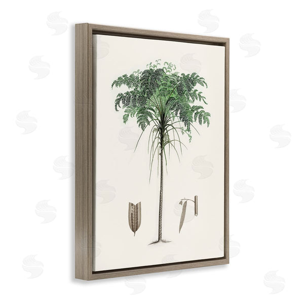 Stupell Industries CAD Designs | Vintage Palm Tree Study