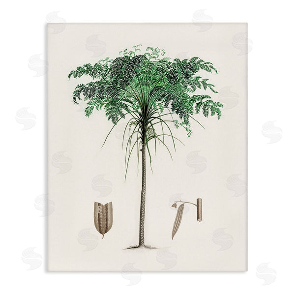 stupell industries CAD Designs | Vintage Palm Tree Study