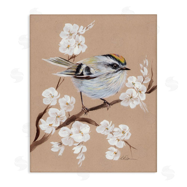 stupell industries Cady Driver | Apple Blossom Branch with Bird Wall Art