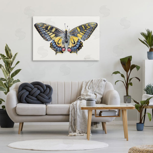 Stupell Industries Cady Driver | Beautiful Symmetrical Moth Wings Wall Art
