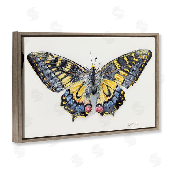 Stupell Industries Cady Driver | Beautiful Symmetrical Moth Wings Wall Art