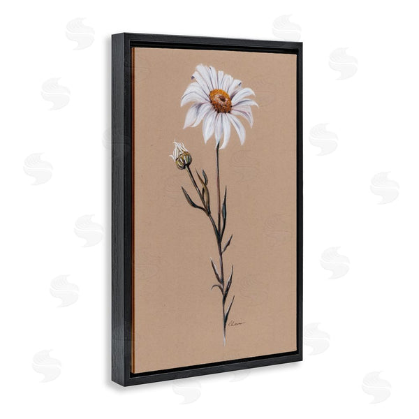 Stupell Industries Cady Driver | Daisy Sprout On Tan Wall Art