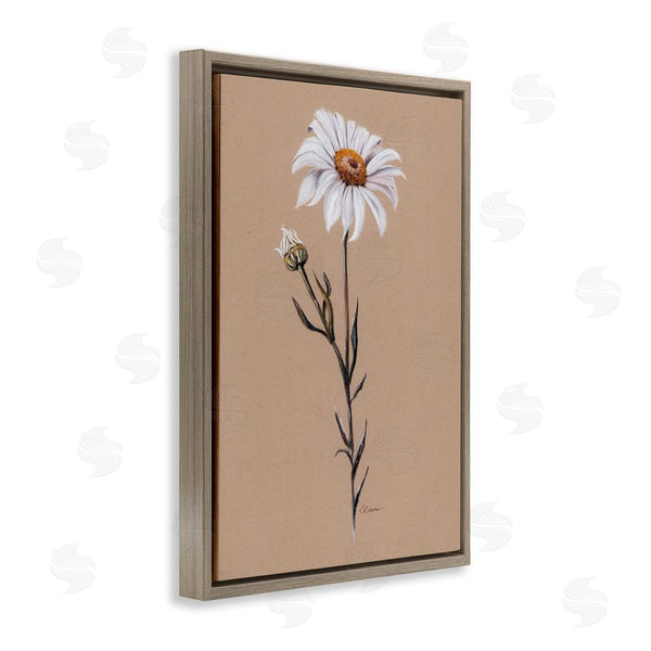 Stupell Industries Cady Driver | Daisy Sprout On Tan Wall Art