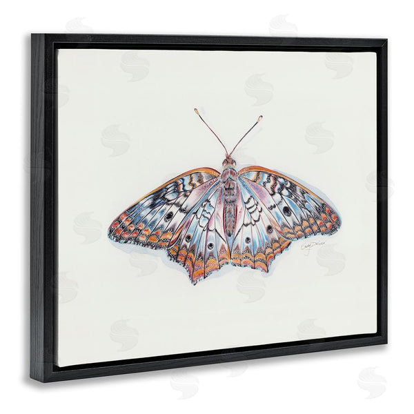 Stupell Industries Cady Driver | Delicate Moth With Detailed Pattern Wall Art