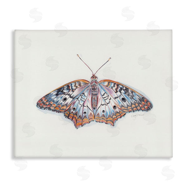 stupell industries Cady Driver | Delicate Moth with Detailed Pattern Wall Art
