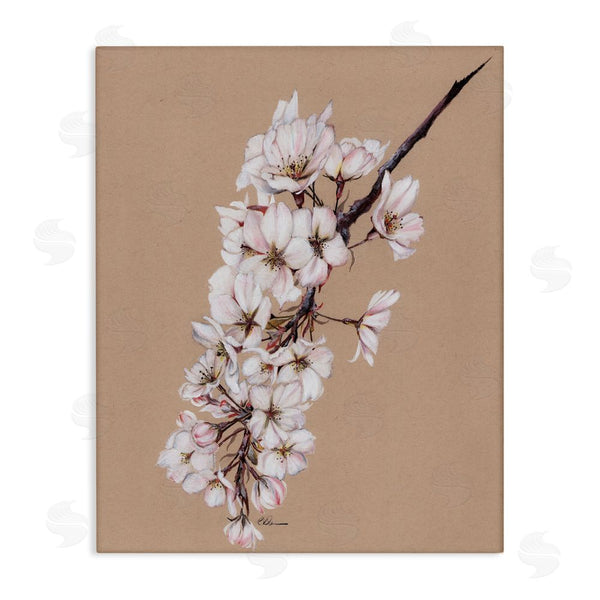 stupell industries Cady Driver | Delicate Spring Apple Blossoms Wall Art
