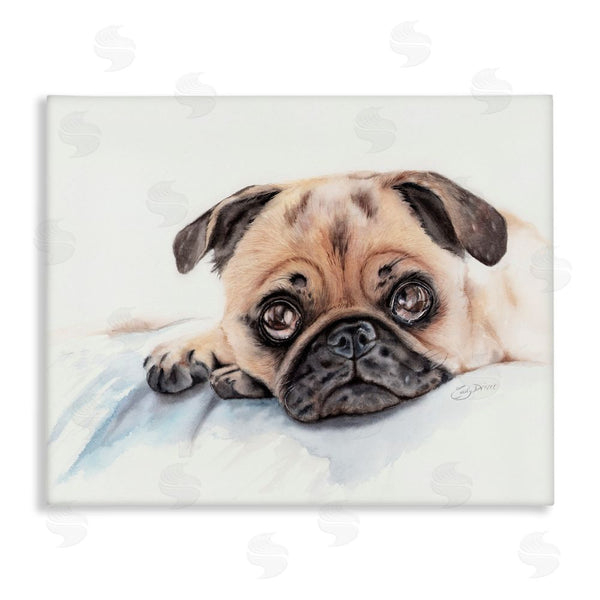 stupell industries Cady Driver | Innocent Pug Relaxing Wall Art