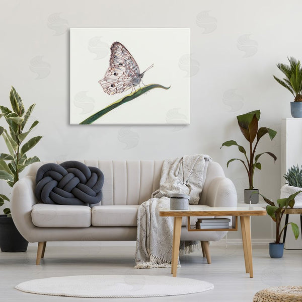 Stupell Industries Cady Driver | Intricate Butterfly On Twig Wall Art
