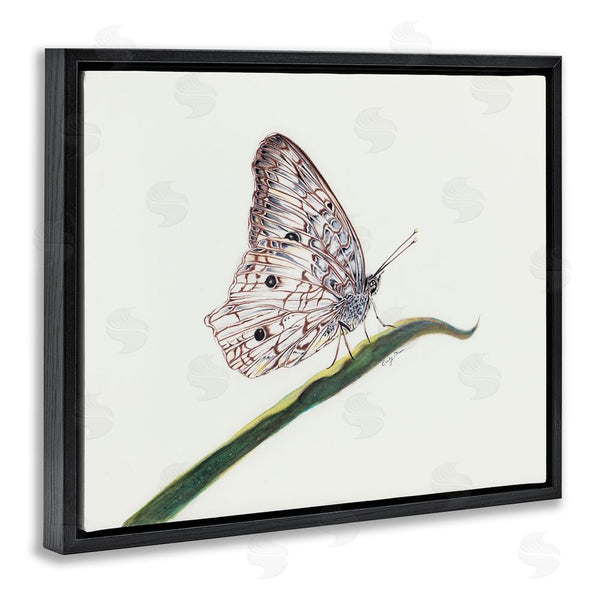 Stupell Industries Cady Driver | Intricate Butterfly On Twig Wall Art