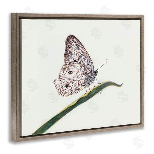 Stupell Industries Cady Driver | Intricate Butterfly On Twig Wall Art