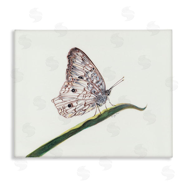 stupell industries Cady Driver | Intricate Butterfly on Twig Wall Art