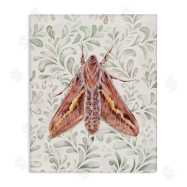 stupell industries Cady Driver | Moth Over Leaf Sprigs Wall Art