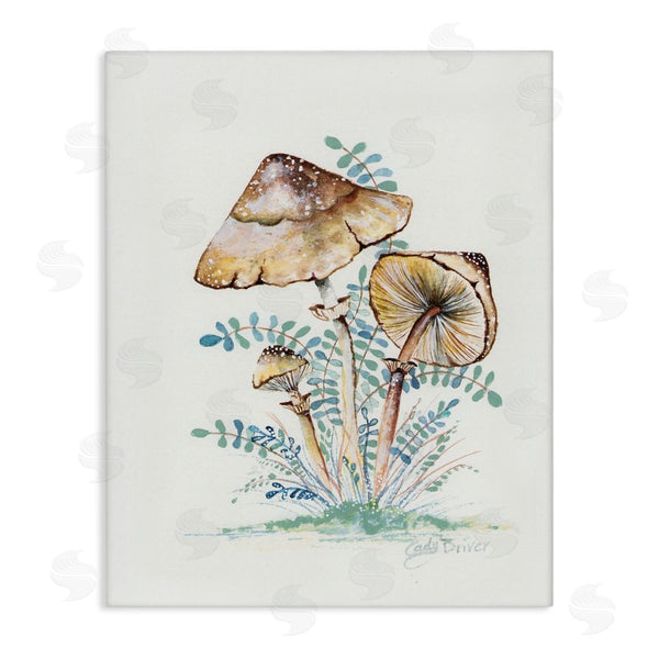 stupell industries Cady Driver | Natural Forest Mushrooms Trio Wall Art