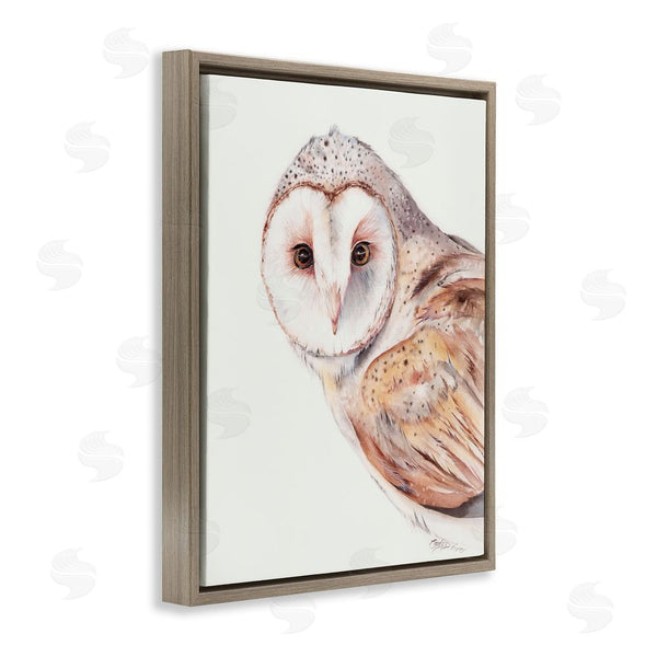 Stupell Industries Cady Driver | Peeking Barn Owl Gaze Wall Art