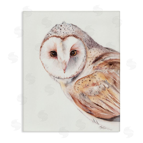 stupell industries Cady Driver | Peeking Barn Owl Gaze Wall Art