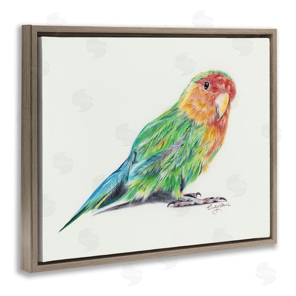 Stupell Industries Cady Driver | Rainbow Gradient Parakeet Wall Art
