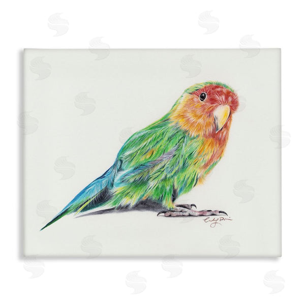 stupell industries Cady Driver | Rainbow Gradient Parakeet Wall Art