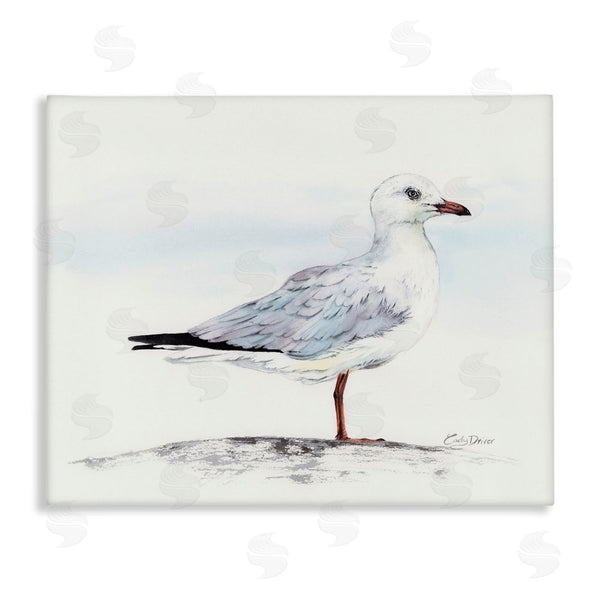 stupell industries Cady Driver | Seagull On Sand Portrait Wall Art