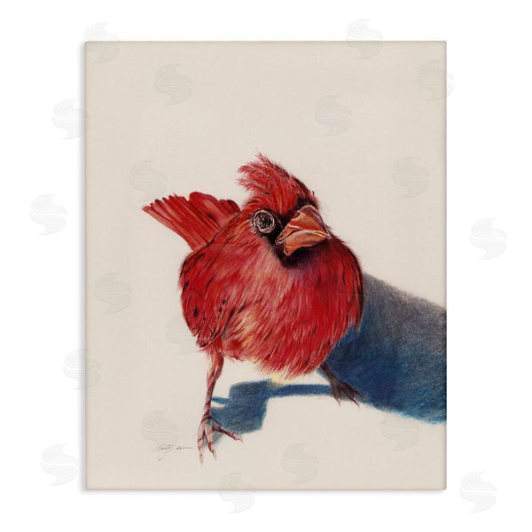 stupell industries Cady Driver | Standing Cardinal Bird Wall Art