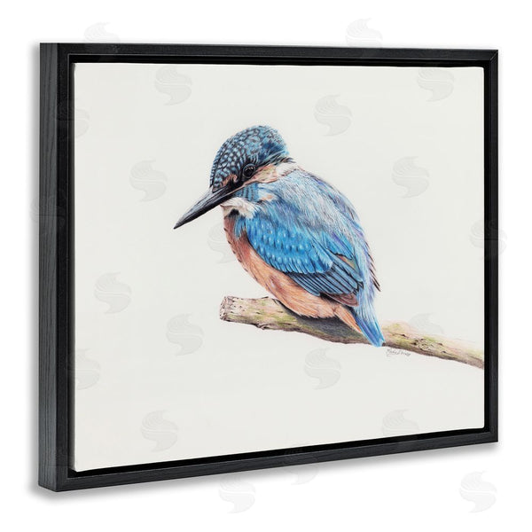 Stupell Industries Cady Driver | Vibrant Kingfisher On Branch Wall Art