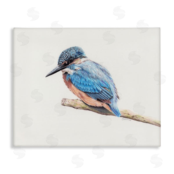 stupell industries Cady Driver | Vibrant Kingfisher on Branch Wall Art