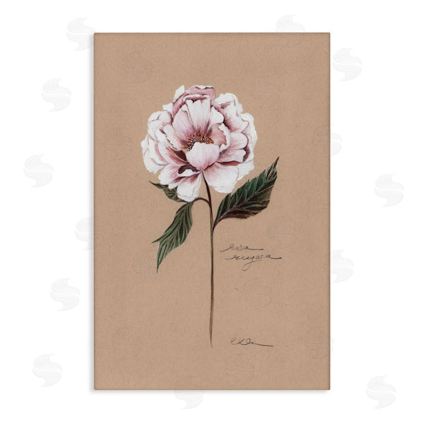 stupell industries Cady Driver | Vintage Flower Rounded Petals Wall Art
