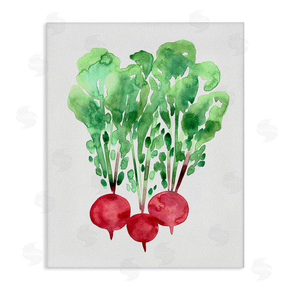 stupell industries Camila Juncos | Watercolor Garden Radishes