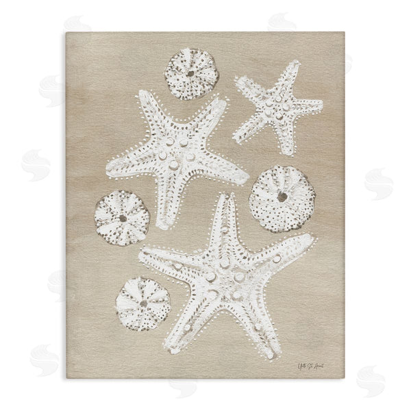 stupell industries Candra Boggs | Sandy Beach Treasures Wall Art