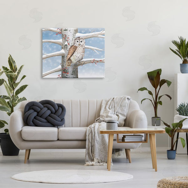 Stupell Industries Caro Windmuller | Snowy Birch Tree Owl Wall Art