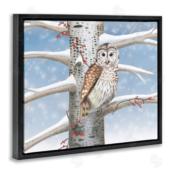 Stupell Industries Caro Windmuller | Snowy Birch Tree Owl Wall Art