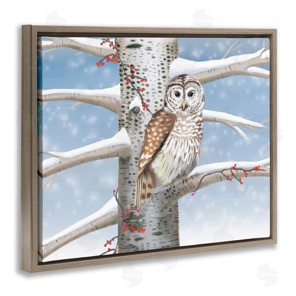 Stupell Industries Caro Windmuller | Snowy Birch Tree Owl Wall Art