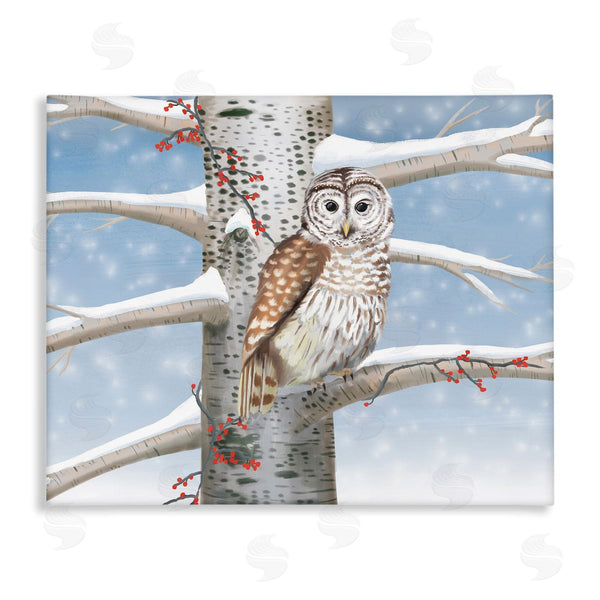 stupell industries Caro Windmuller | Snowy Birch Tree Owl Wall Art