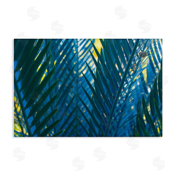 stupell industries Carol La Barge | Blue Palm Fronds Wall Art
