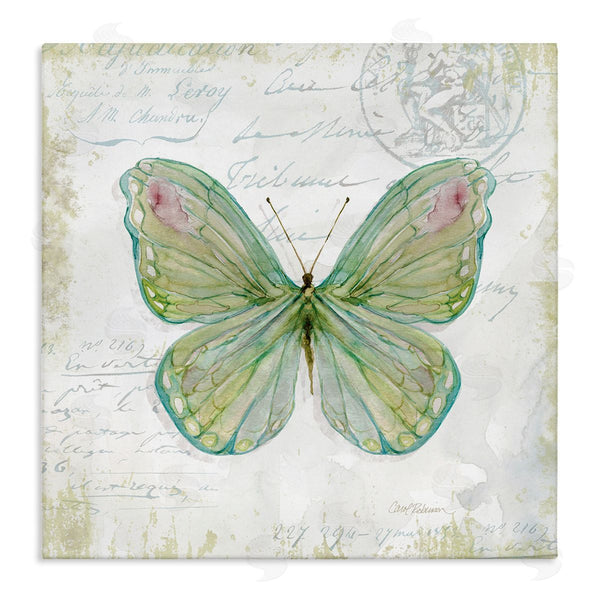 stupell industries Carol Robinson | Antique Butterfly Insect Charming Vintage Postal Scripture Wall Art